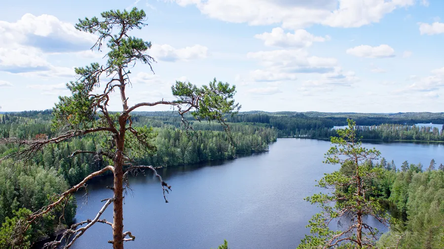 finland koli nature lake forest hiking
