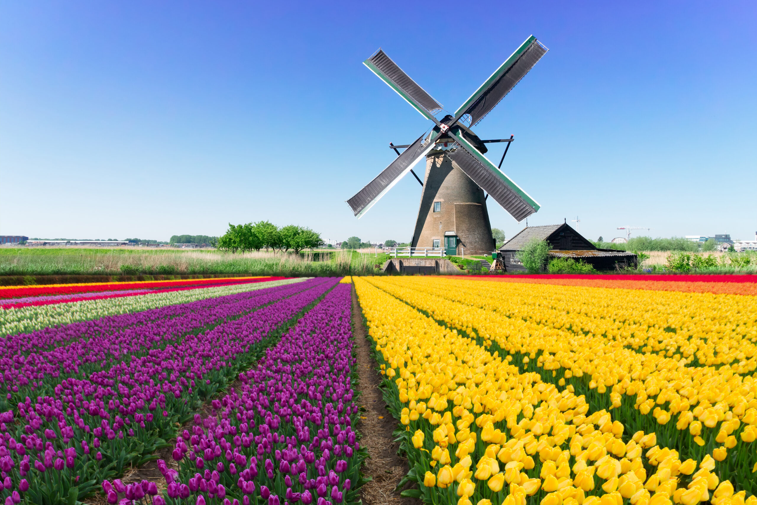 Motorhome Rental In The Netherlands Touring Cars Motorhome Rental In The Netherlands Touring Cars